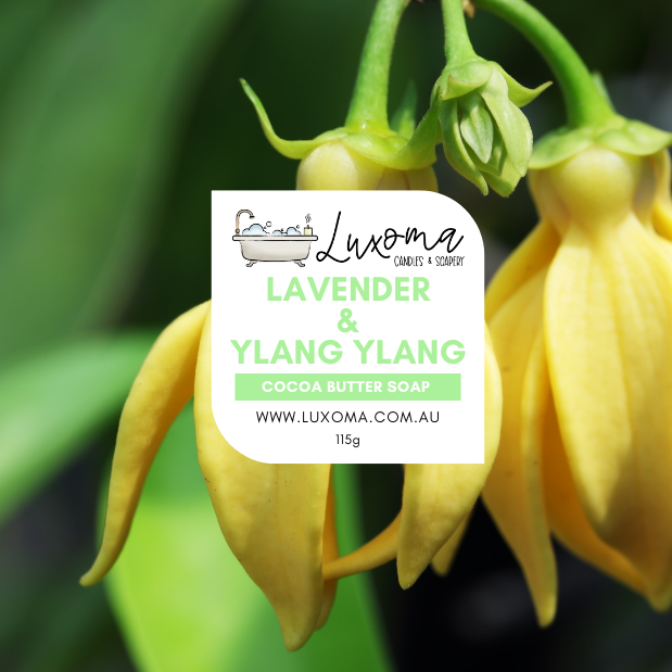 Lavender & Ylang Ylang Handmade Soap
